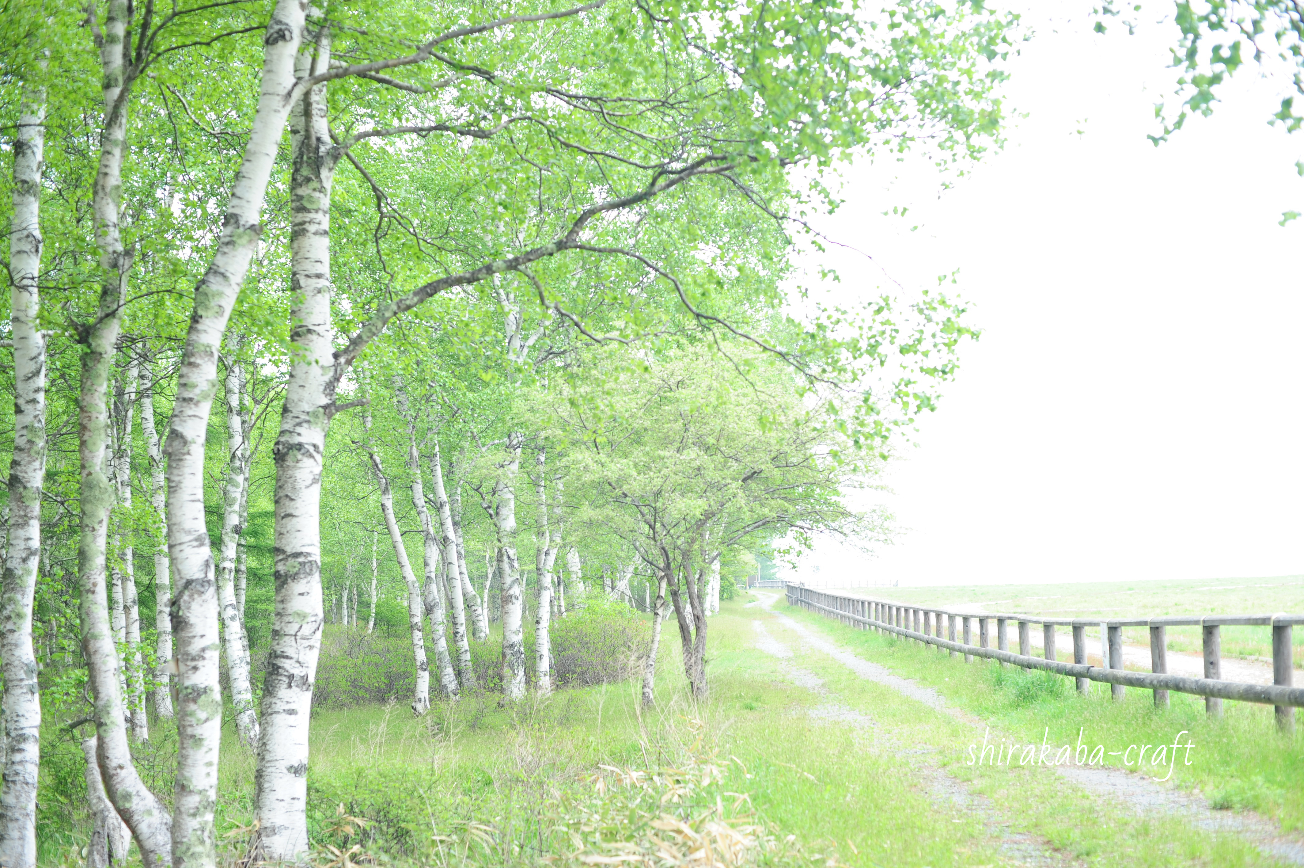 DSC_5628_2.jpg